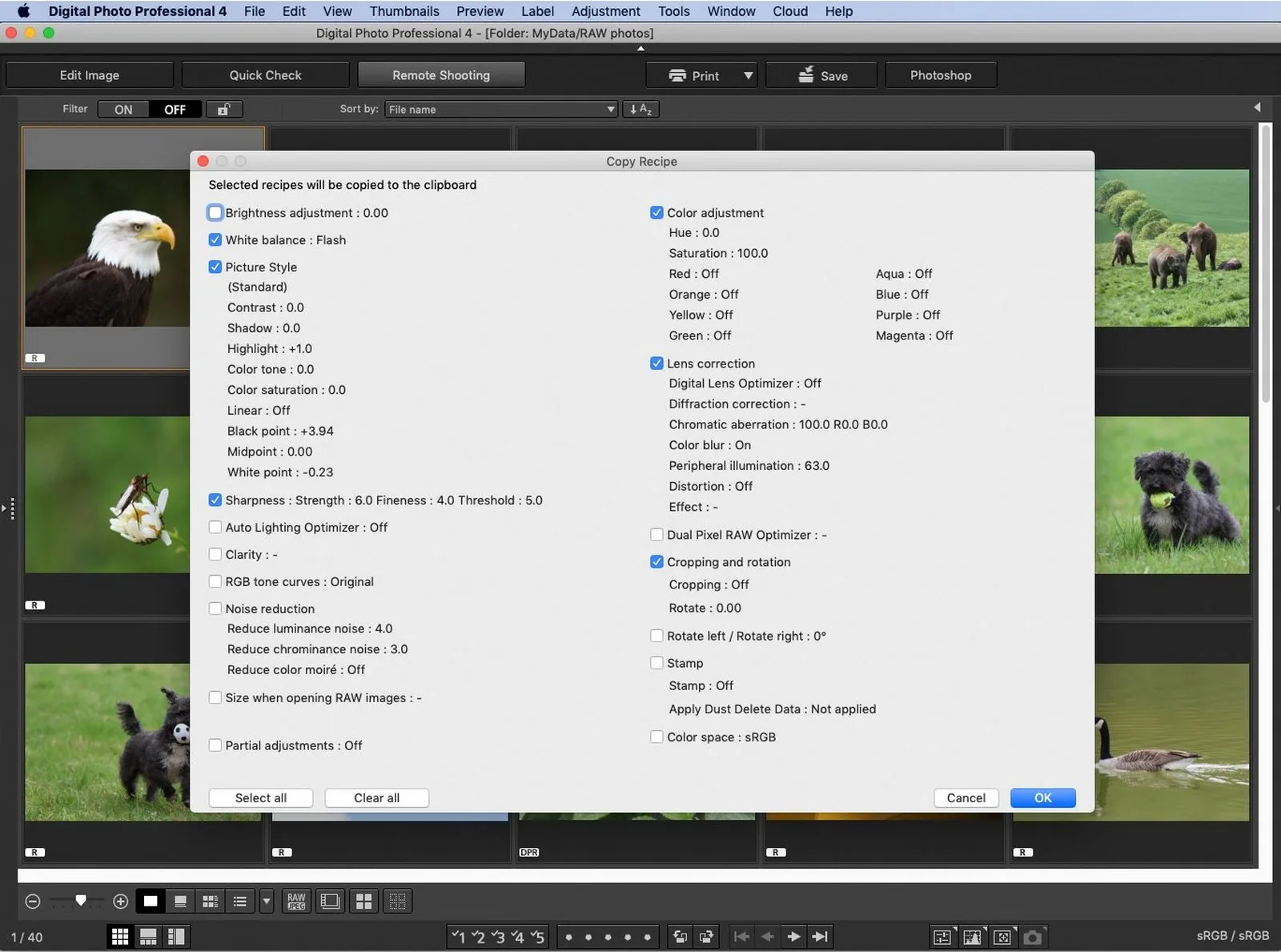 ภาพตัวอย่างการปรับไฟล์ RAW ในโปรแกรม DPP ของ Canon