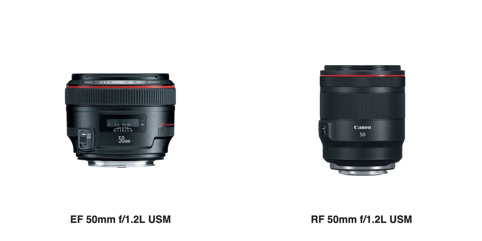 เลนส์ Canon EF 50mm f/1.2L USM วางเทียบกับ RF 50mm f/1.2L USM