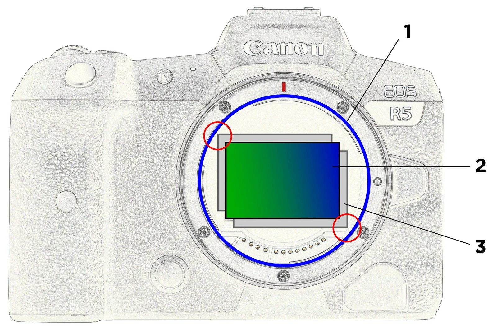 ไดอะแกรมของ Canon แสดงปากเมาท์ RF ที่เปิดพื้นที่ให้เซนเซอร์ขยับกันสั่น
