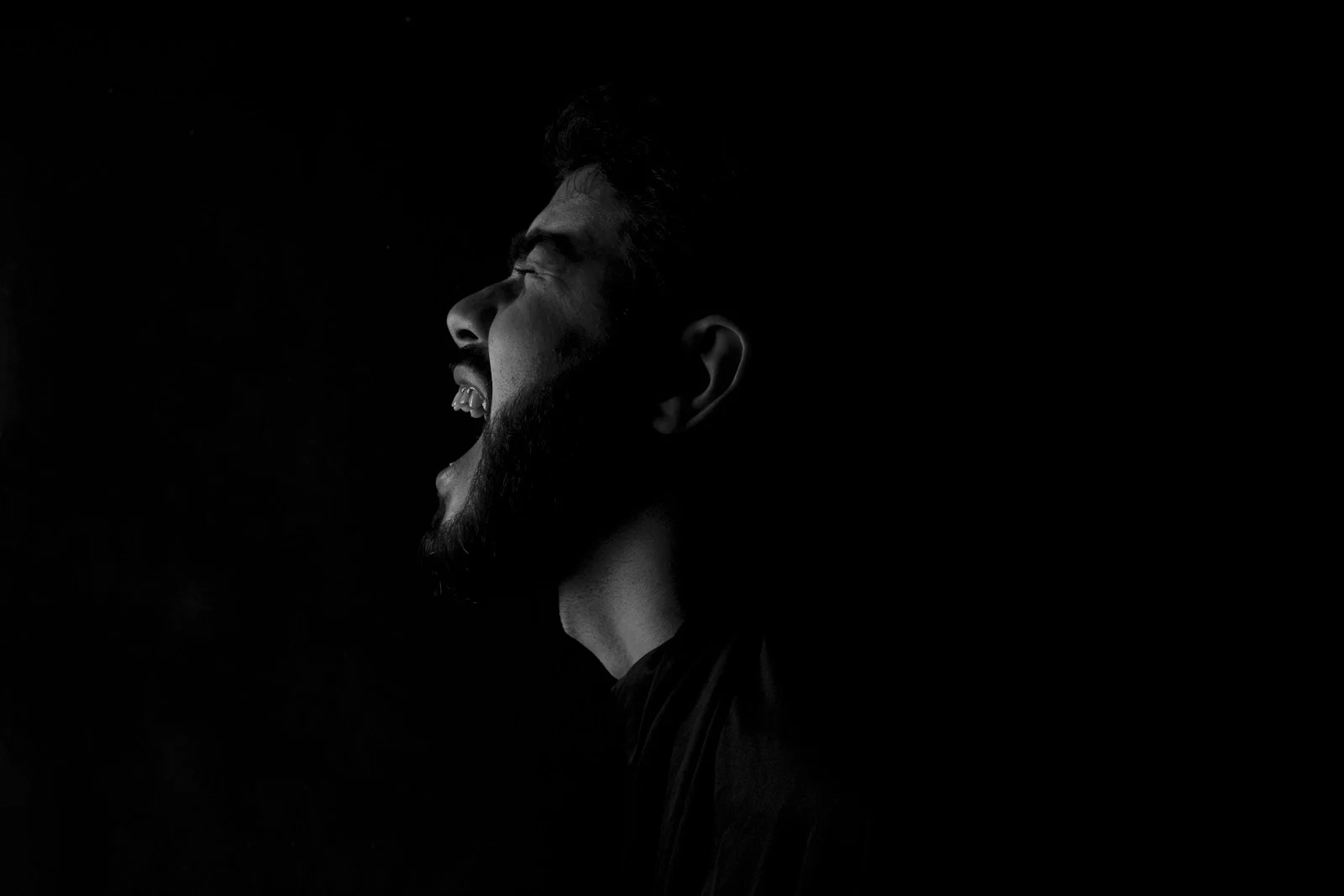 ภาพพอร์เทรตชายมีเคราบนพื้นหลังสีดำ
