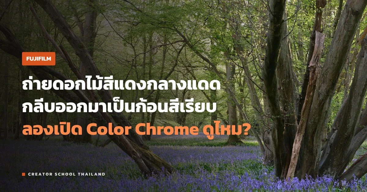 Color Chrome กับ Grain Effect ของฟูจิ ปรับแล้วภาพเปลี่ยนตรงไหน