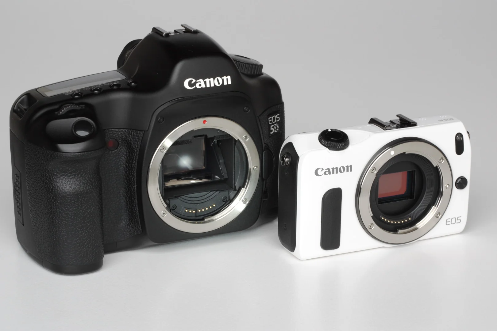 กล้องฟูลเฟรม Canon EOS 5D วางเทียบกับกล้อง APS-C Canon EOS M ขนาดต่างกันชัดเจน
