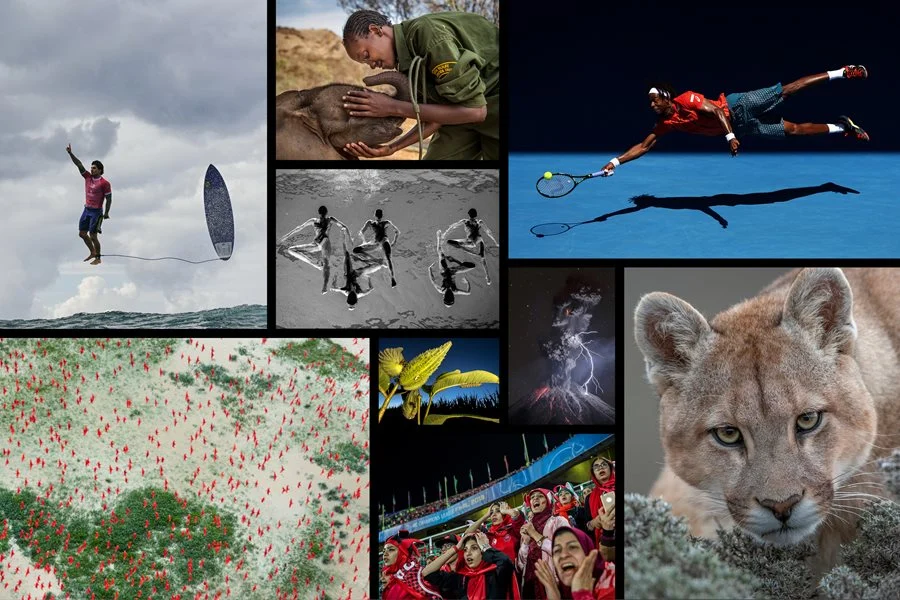 World Press Photo 2027 เพิ่มรางวัล Nature และ Sports