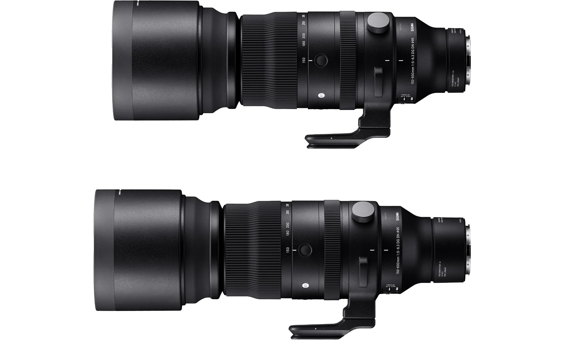 เลนส์ SIGMA 150-600mm Sports กับ Teleconverter SIGMA